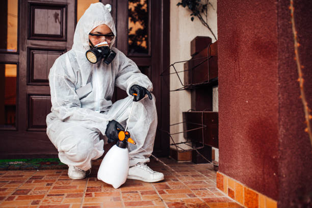 Reliable Termite Control contractor in Willow Park, TX by Nex Pest Control